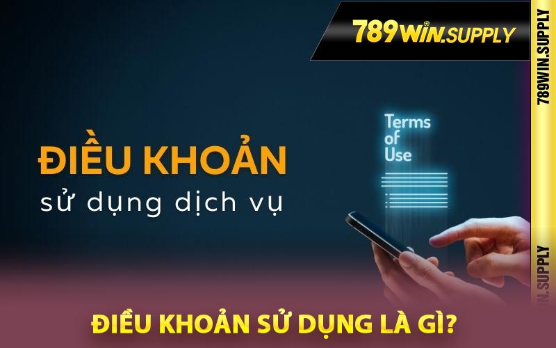Điều khoản sử dụng là gì?