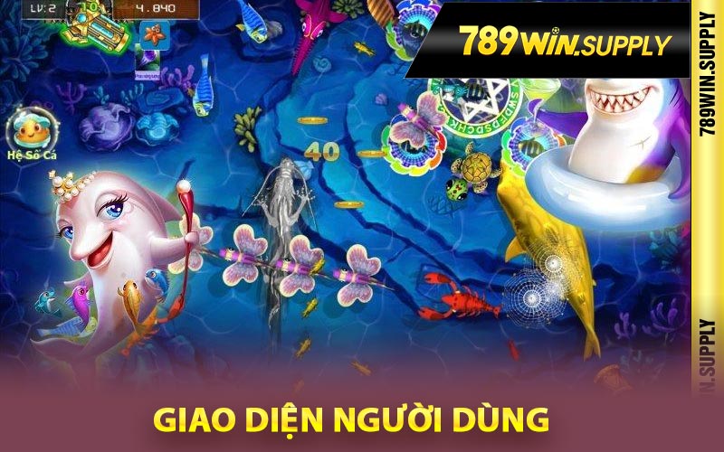 Giao diện người dùng